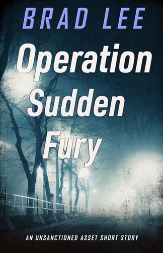 Operation Sudden Fury