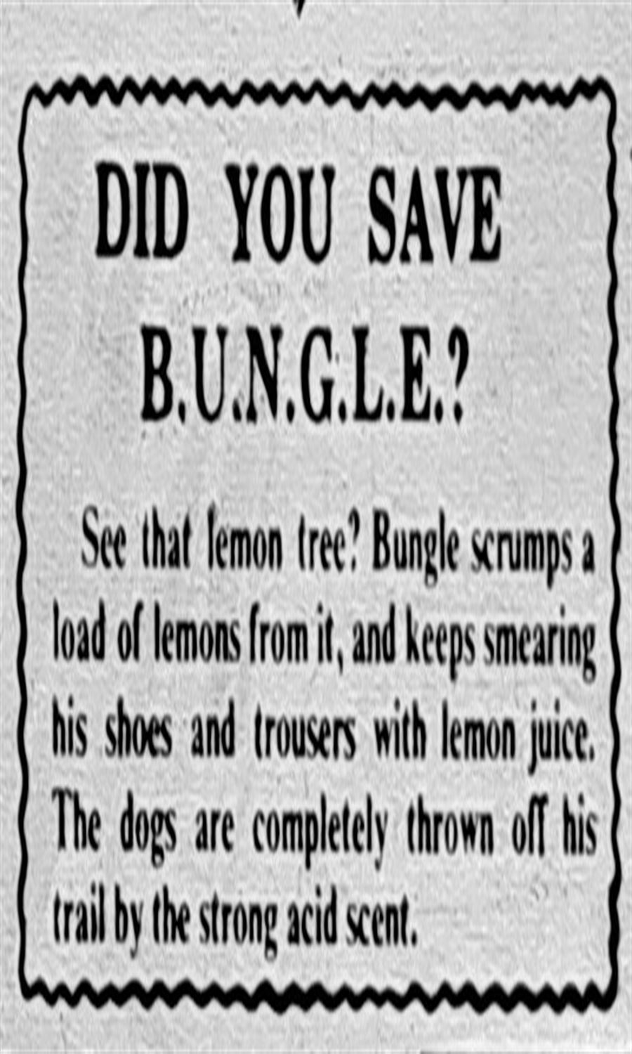 man_from_bungle_cb_adv30_02.jpg