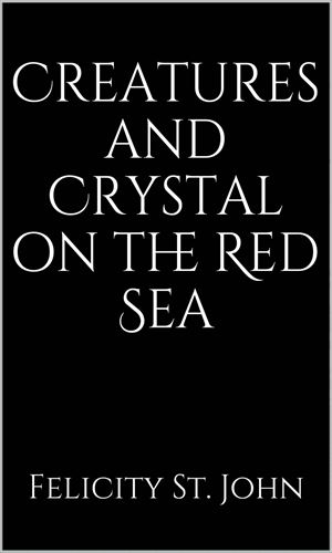 Creatures And Crystal On The Red Sea