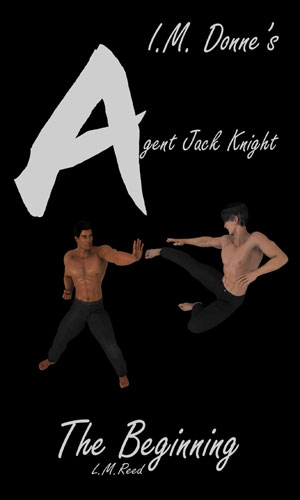 Agent Jack Knight: The Beginning