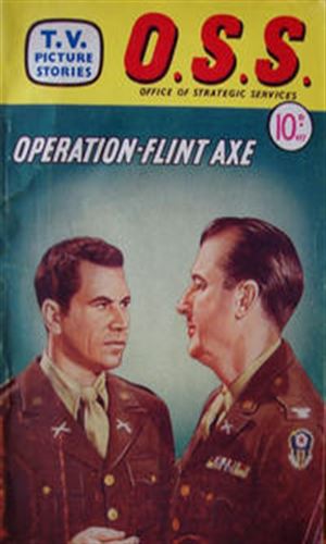 Operation Flint Axe