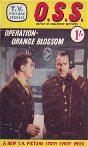 Operation Orange Blossom