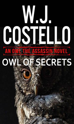 Owl of Secrets