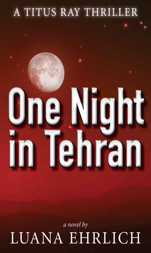 One Night In Tehran
