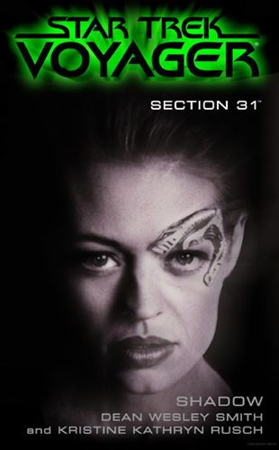 section31_bk_shadow